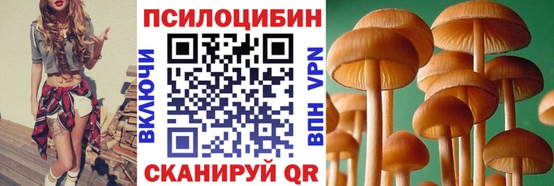 Галлюциногенные грибы прущие грибы  KRAKEN вход  Урус-Мартан 