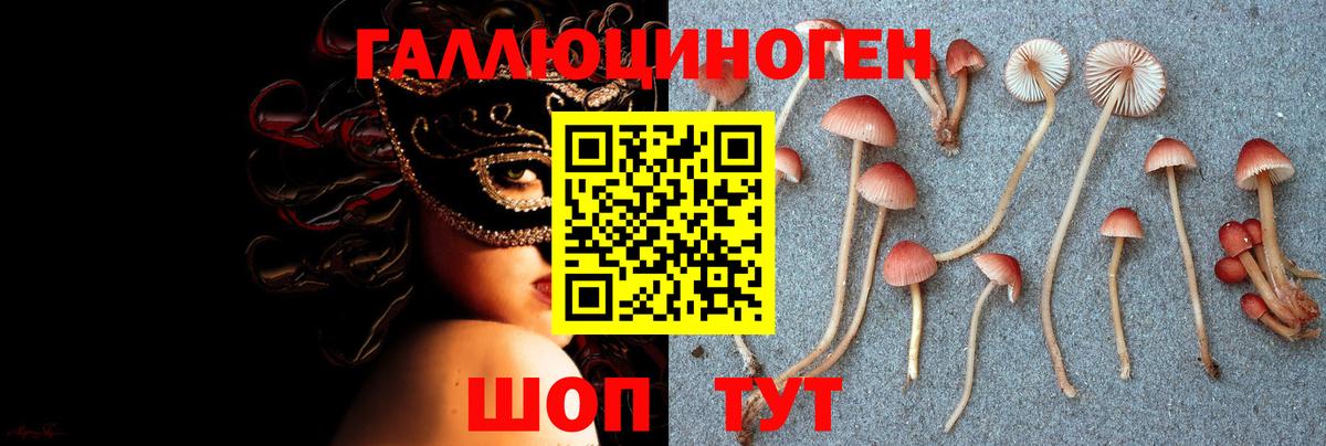 Галлюциногенные грибы ЛСД Урус-Мартан